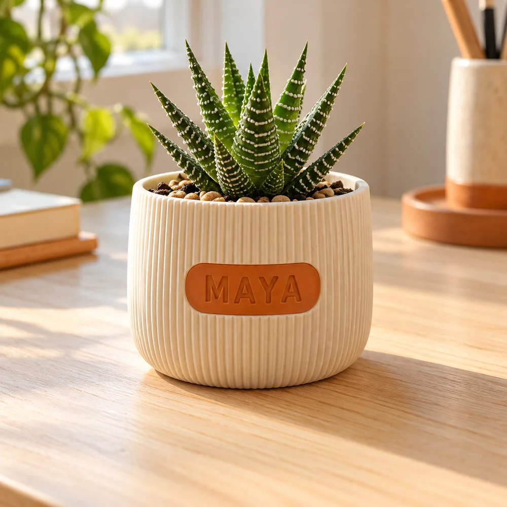 Cream ribbed planter with an orange MAYA nameplate and succulent
